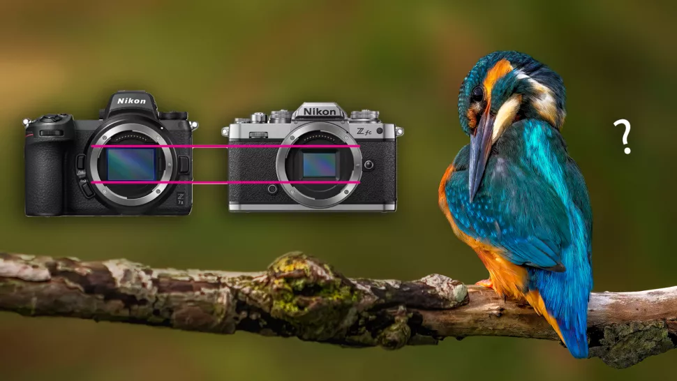 سنسور فول فریم یا کراپ سنسور برای عکاسی پرندگان – کدام بهتر است ؟
